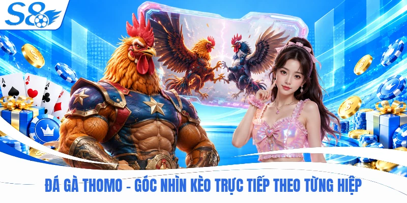 Đá Gà Thomo - Góc Nhìn Kèo Trực Tiếp Theo Từng Hiệp